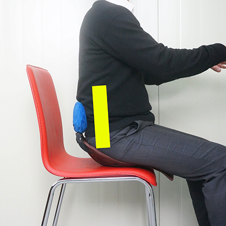 에스백 컴포트 레귤러 자세교정의자 허리 교정 척추 골반 의자 앉은뱅이 좌식의자